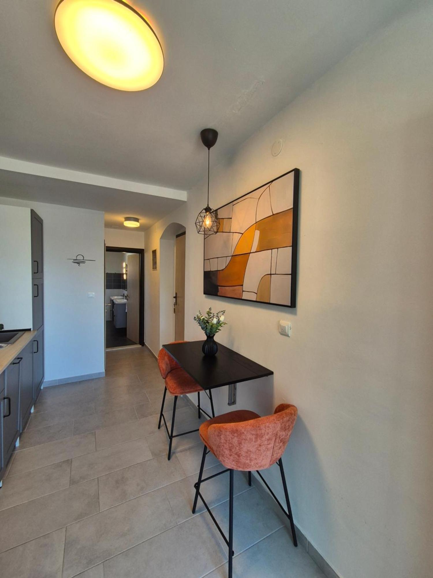 Renovated Apartments Skorin ロゴズニッツァ エクステリア 写真